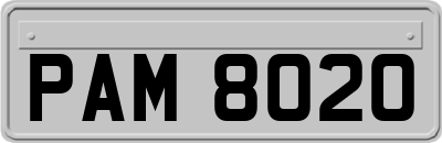 PAM8020