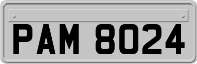 PAM8024