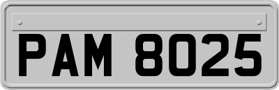 PAM8025