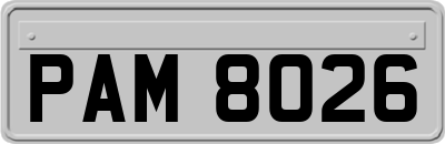 PAM8026
