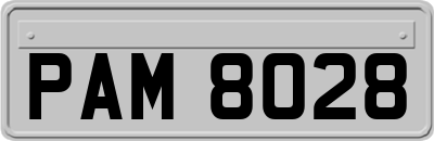 PAM8028