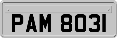 PAM8031