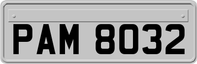 PAM8032