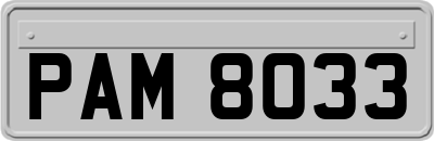 PAM8033