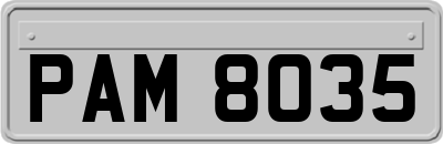 PAM8035