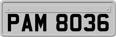 PAM8036