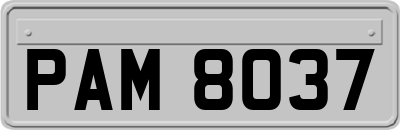 PAM8037