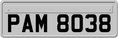 PAM8038