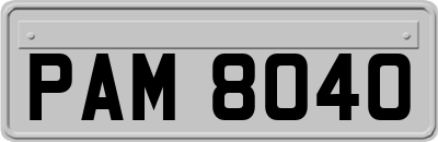 PAM8040