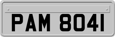 PAM8041