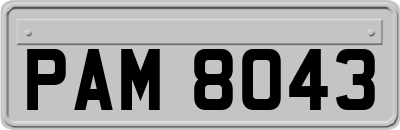 PAM8043