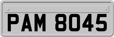 PAM8045