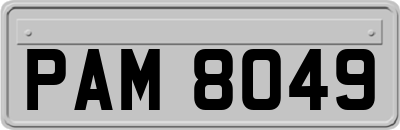 PAM8049