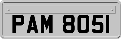 PAM8051