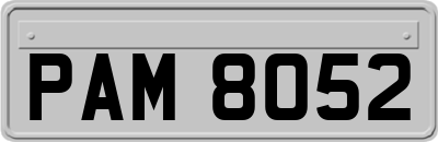 PAM8052