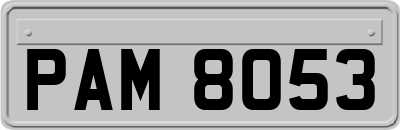 PAM8053