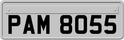PAM8055