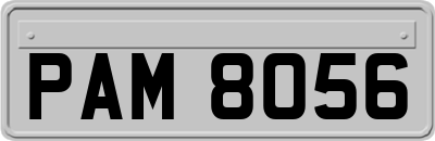 PAM8056