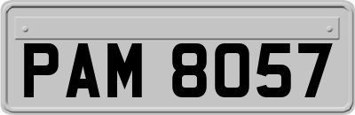 PAM8057