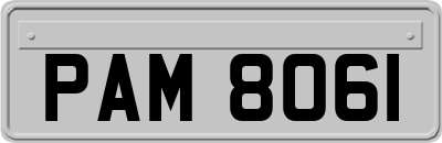PAM8061