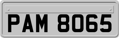 PAM8065