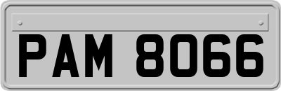 PAM8066