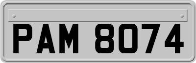 PAM8074