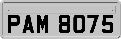 PAM8075