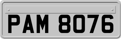 PAM8076