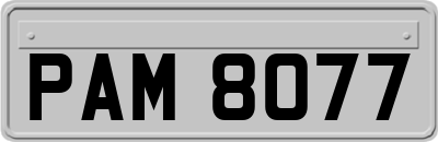 PAM8077