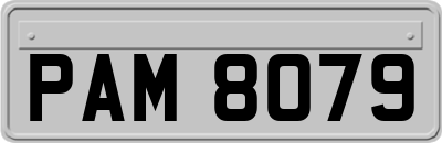 PAM8079