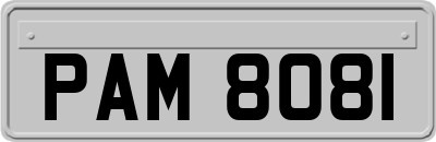 PAM8081