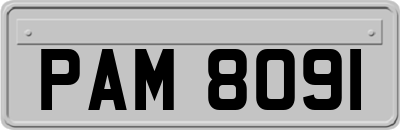 PAM8091