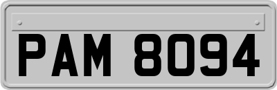 PAM8094