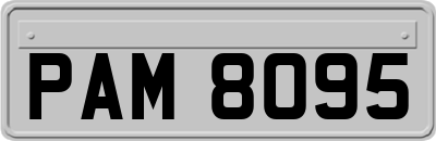 PAM8095