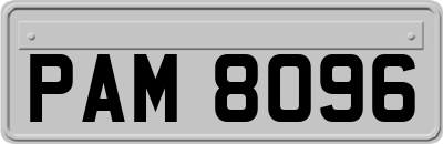 PAM8096