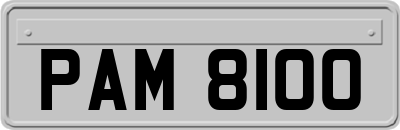 PAM8100