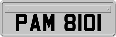 PAM8101
