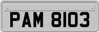 PAM8103