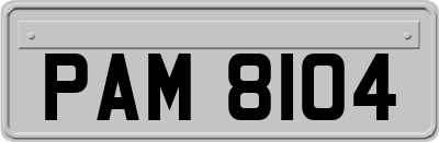 PAM8104