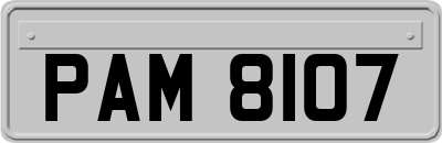 PAM8107