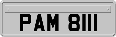 PAM8111