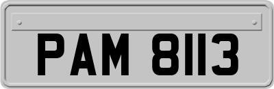 PAM8113