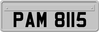 PAM8115