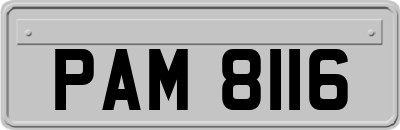 PAM8116