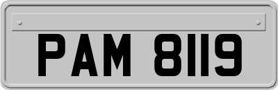 PAM8119