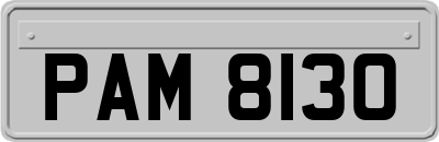 PAM8130