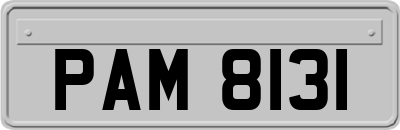 PAM8131