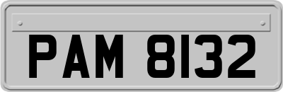PAM8132