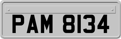 PAM8134